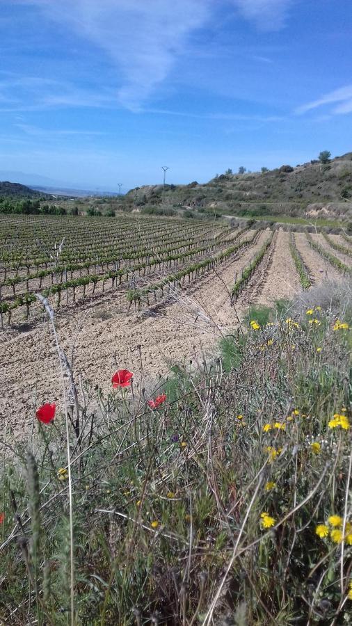 Casa Amparo Bed & Breakfast San Martin de Unx Luaran gambar